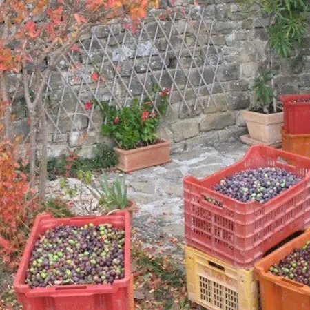 Tatil Evi Bella - Two Bedroom House