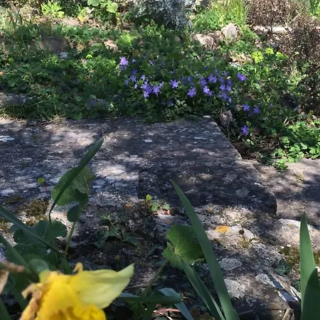 Bella - Two Bedroom House