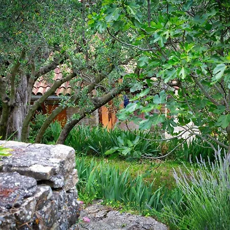 Bella - Two Bedroom House