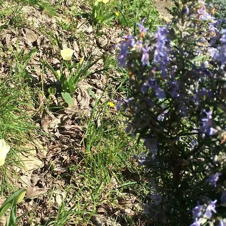 Bella - Two Bedroom House